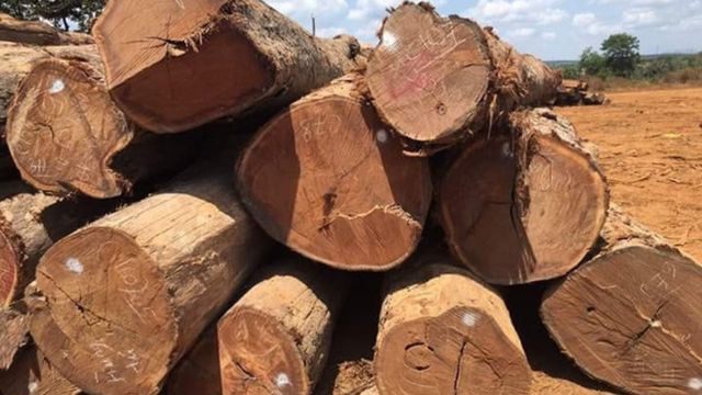 sản phẩm gỗ dùng trong xây dựng