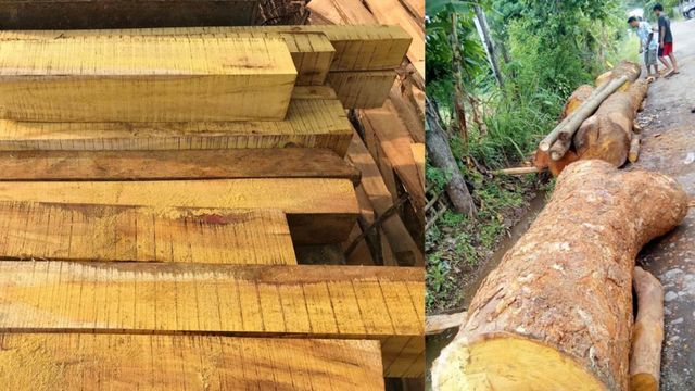 sản phẩm gỗ dùng trong xây dựng